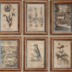 Andrew Martin Wallpaper